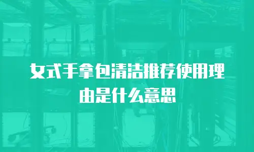 女式手拿包清洁推荐使用理由是什么意思