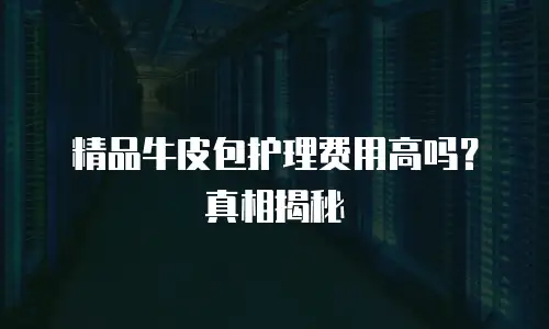 精品牛皮包护理费用高吗？真相揭秘