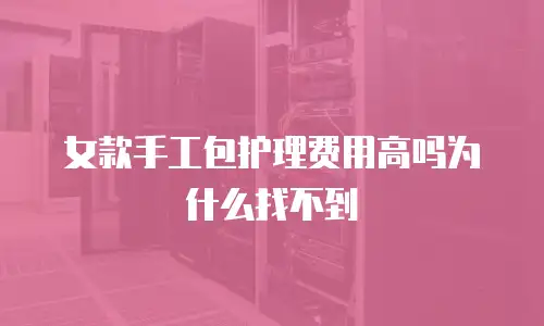 女款手工包护理费用高吗为什么找不到