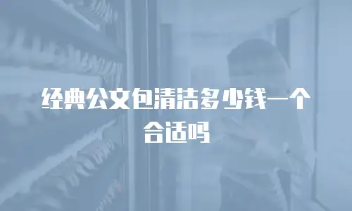 经典公文包清洁多少钱一个合适吗