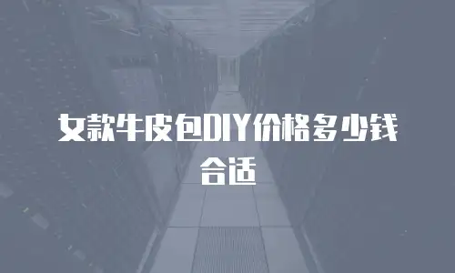 女款牛皮包DIY价格多少钱合适