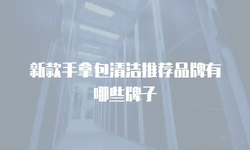新款手拿包清洁推荐品牌有哪些牌子