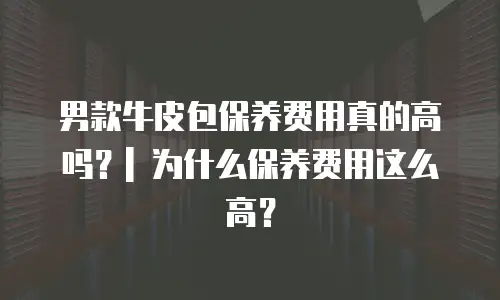 男款牛皮包保养费用真的高吗？| 为什么保养费用这么高？