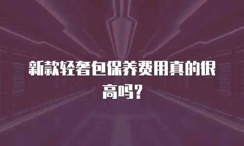 新款轻奢包保养费用真的很高吗？