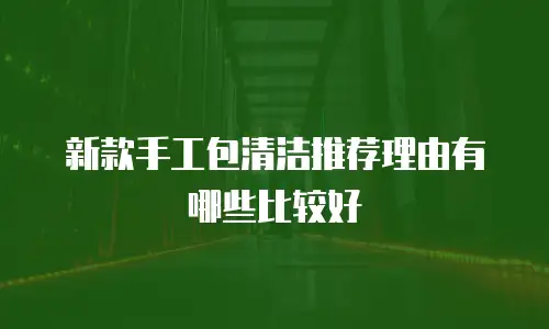 新款手工包清洁推荐理由有哪些比较好