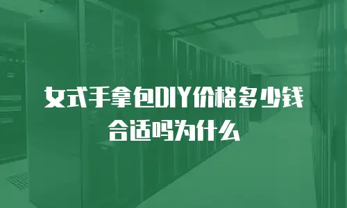 女式手拿包DIY价格多少钱合适吗为什么