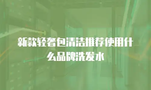 新款轻奢包清洁推荐使用什么品牌洗发水