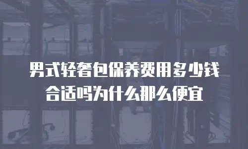 男式轻奢包保养费用多少钱合适吗为什么那么便宜