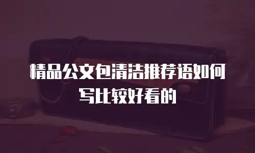 精品公文包清洁推荐语如何写比较好看的