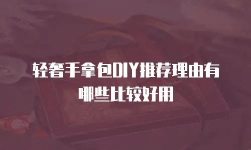 轻奢手拿包DIY推荐理由有哪些比较好用