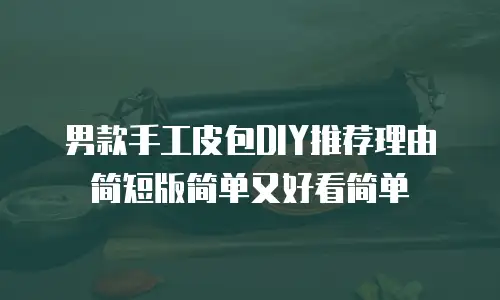 男款手工皮包DIY推荐理由简短版简单又好看简单