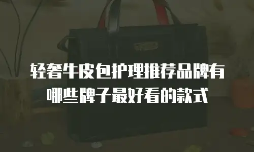 轻奢牛皮包护理推荐品牌有哪些牌子最好看的款式