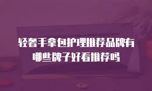 轻奢手拿包护理推荐品牌有哪些牌子好看推荐吗