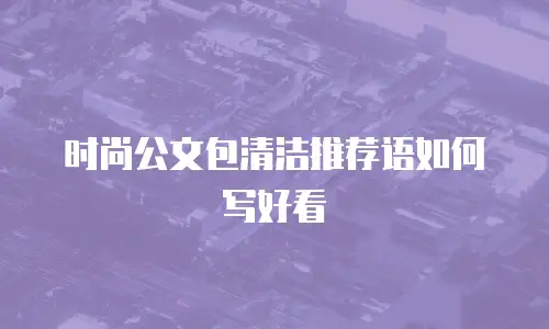 时尚公文包清洁推荐语如何写好看
