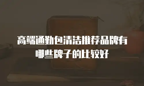高端通勤包清洁推荐品牌有哪些牌子的比较好