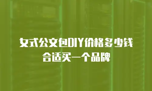 女式公文包DIY价格多少钱合适买一个品牌