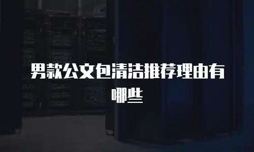 男款公文包清洁推荐理由有哪些