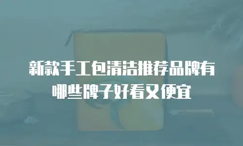 新款手工包清洁推荐品牌有哪些牌子好看又便宜