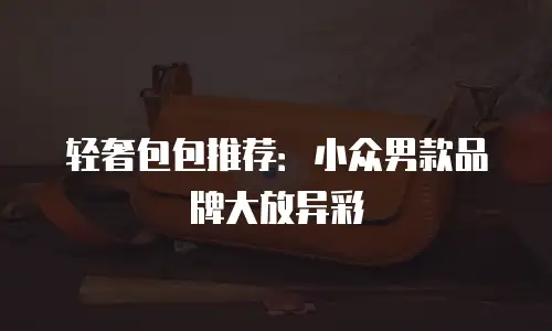 轻奢包包推荐：小众男款品牌大放异彩