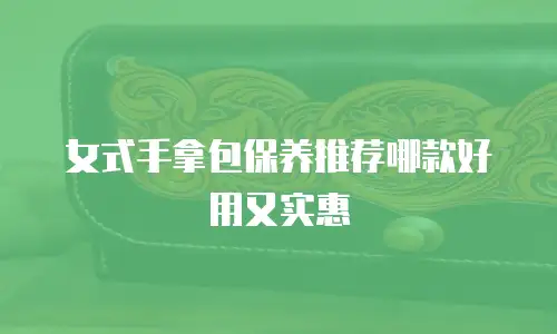 女式手拿包保养推荐哪款好用又实惠