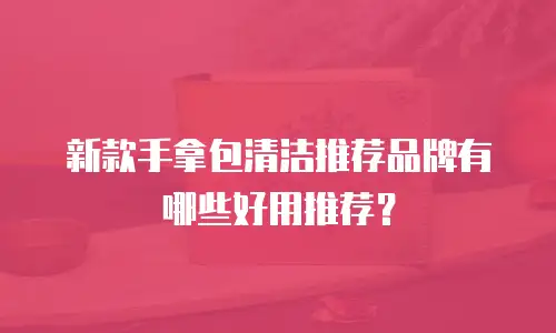 新款手拿包清洁推荐品牌有哪些好用推荐？