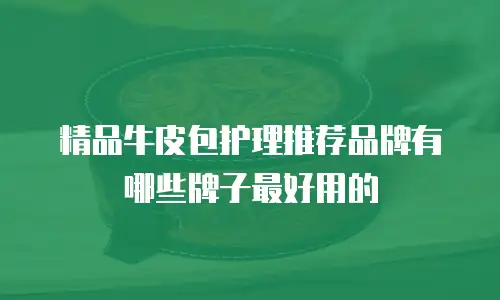 精品牛皮包护理推荐品牌有哪些牌子最好用的