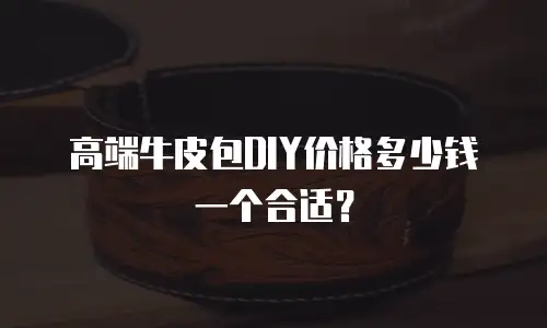 高端牛皮包DIY价格多少钱一个合适？