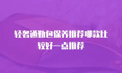轻奢通勤包保养推荐哪款比较好一点推荐
