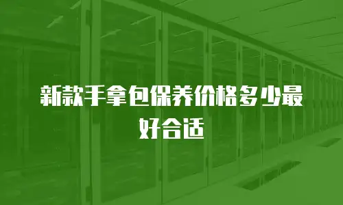 新款手拿包保养价格多少最好合适