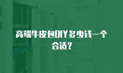 高端牛皮包DIY多少钱一个合适？