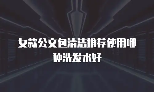 女款公文包清洁推荐使用哪种洗发水好