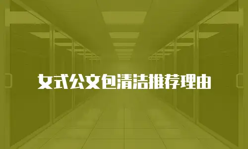 女式公文包清洁推荐理由
