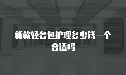 新款轻奢包护理多少钱一个合适吗
