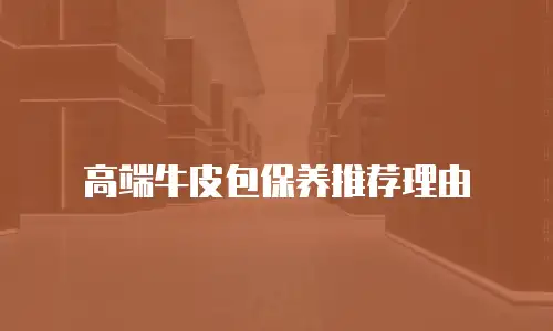 高端牛皮包保养推荐理由