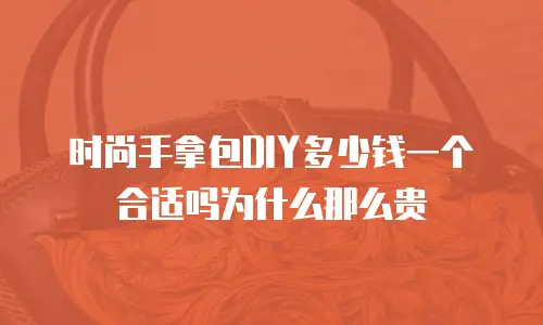 时尚手拿包DIY多少钱一个合适吗为什么那么贵