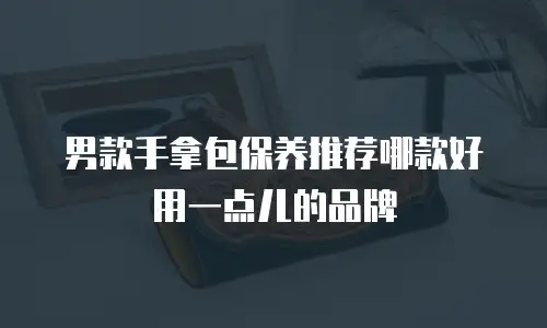 男款手拿包保养推荐哪款好用一点儿的品牌