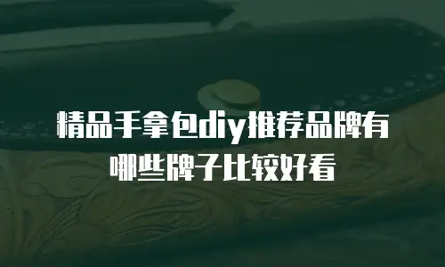 精品手拿包diy推荐品牌有哪些牌子比较好看