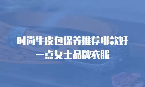 时尚牛皮包保养推荐哪款好一点女士品牌衣服