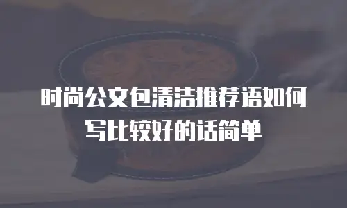 时尚公文包清洁推荐语如何写比较好的话简单
