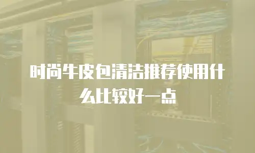 时尚牛皮包清洁推荐使用什么比较好一点