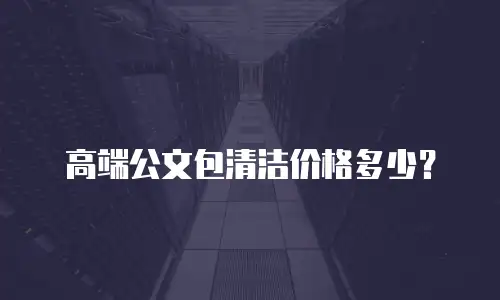 高端公文包清洁价格多少？