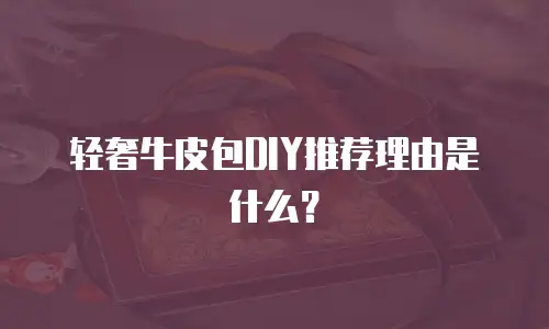 轻奢牛皮包DIY推荐理由是什么？