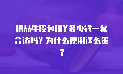 精品牛皮包DIY多少钱一套合适吗？为什么使用这么贵？