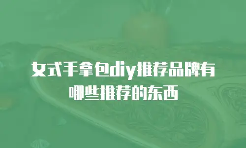 女式手拿包diy推荐品牌有哪些推荐的东西