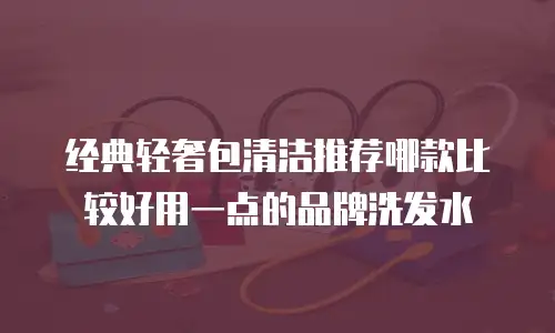 经典轻奢包清洁推荐哪款比较好用一点的品牌洗发水