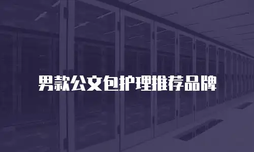 男款公文包护理推荐品牌
