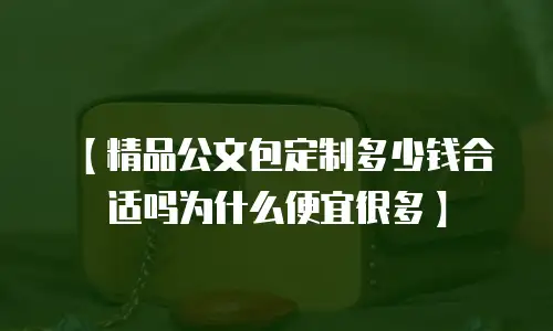 【精品公文包定制多少钱合适吗为什么便宜很多】