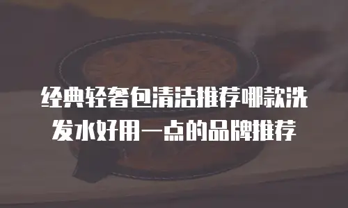 经典轻奢包清洁推荐哪款洗发水好用一点的品牌推荐