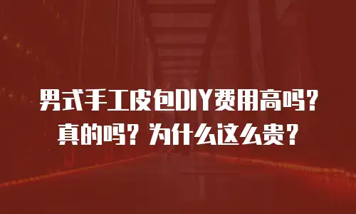男式手工皮包DIY费用高吗？真的吗？为什么这么贵？