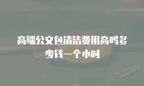 高端公文包清洁费用高吗多少钱一个小时